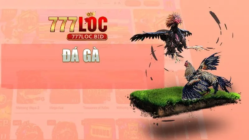 Đá Gà 777loc - id Trải nghiệm đá gà 777loc cho người mới